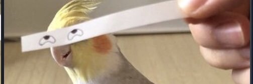 lilitwill30's profile banner image
