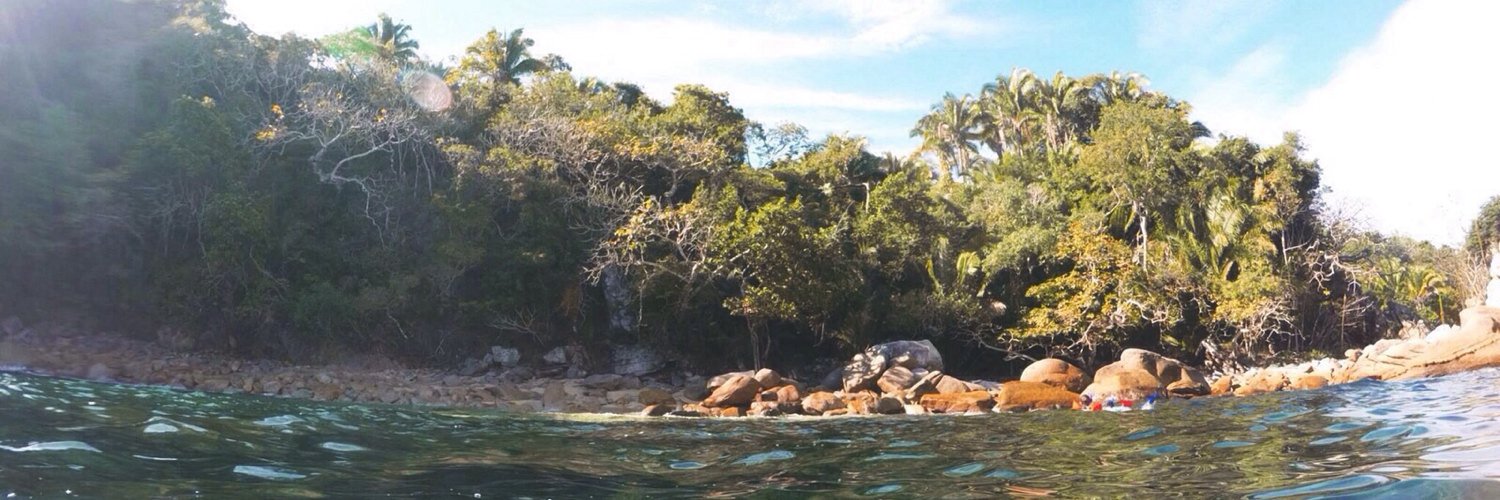 Sebastian Peña banner