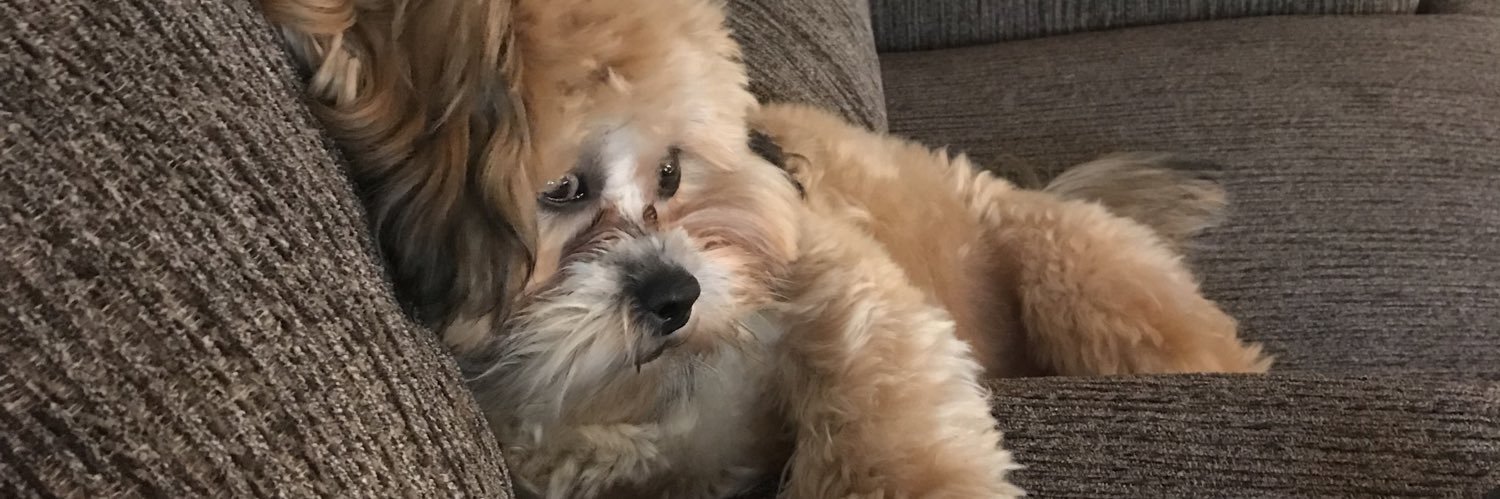 chadheaster's profile banner image