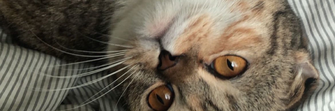trollsoull's profile banner image