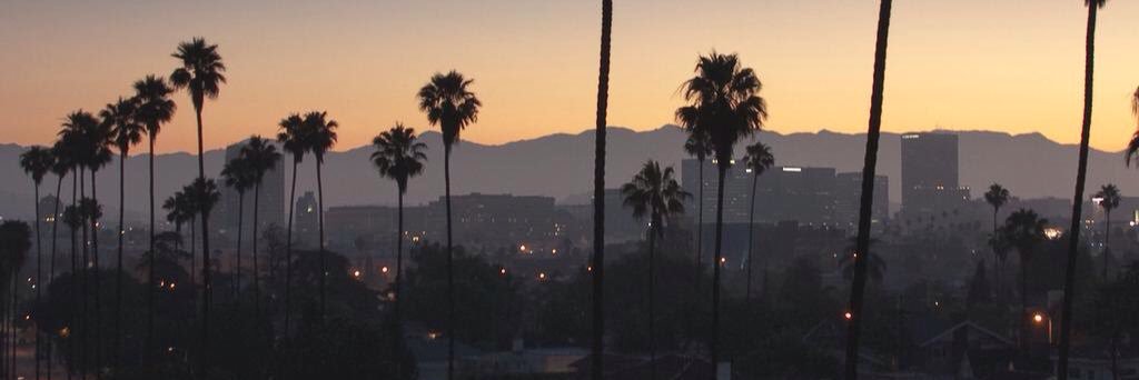 TLee_Da_Don's profile banner image