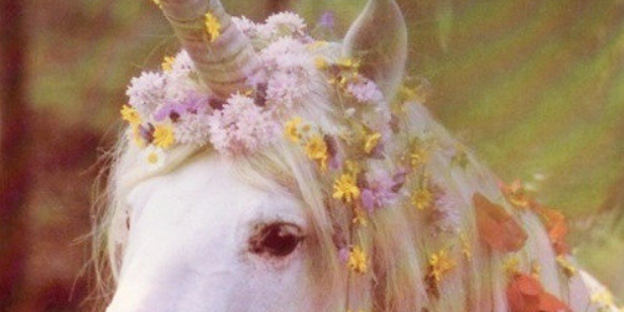 riahyder's profile banner image