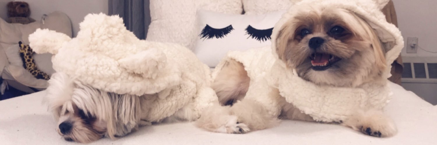 angelaa__her's profile banner image