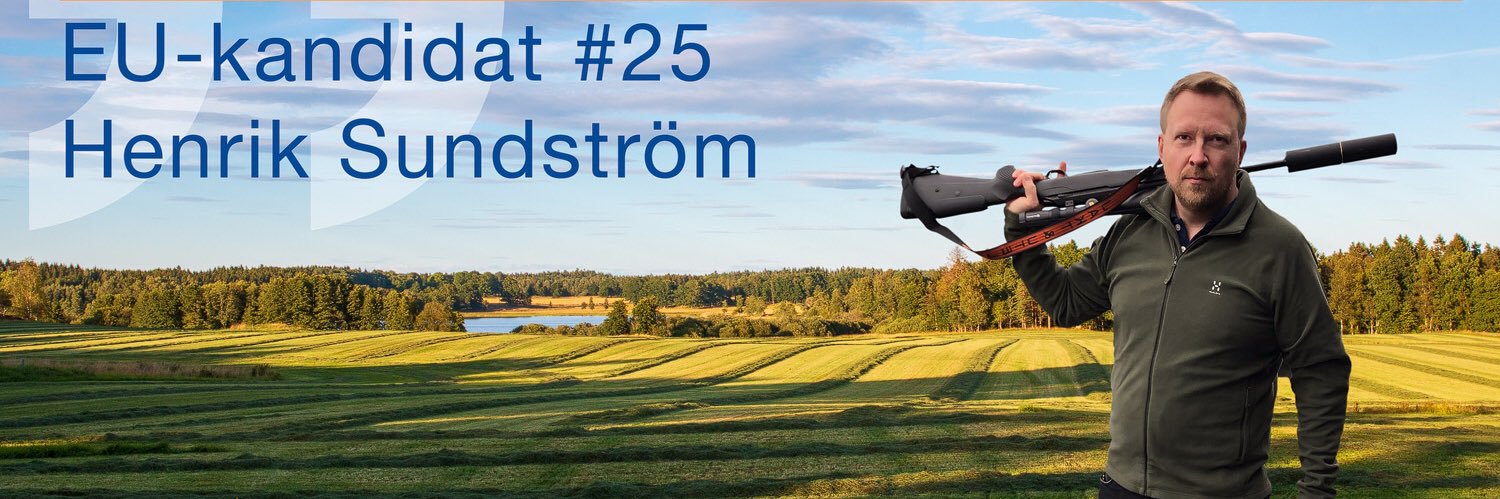 Henrik Sundström's banner