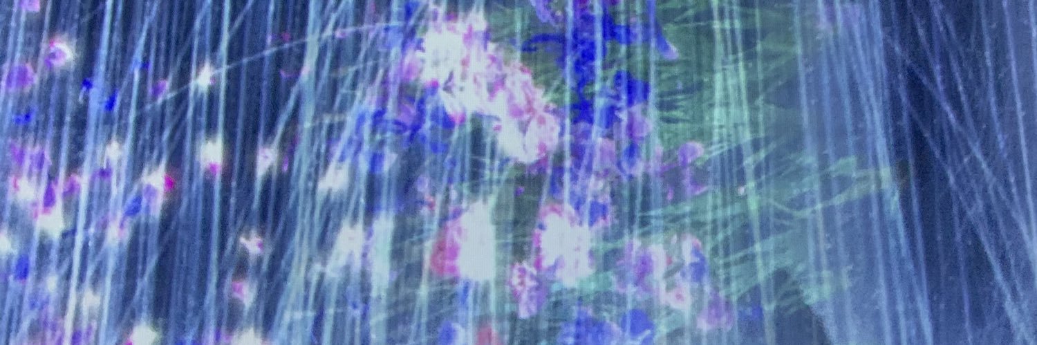 RFuruxxx's profile banner image