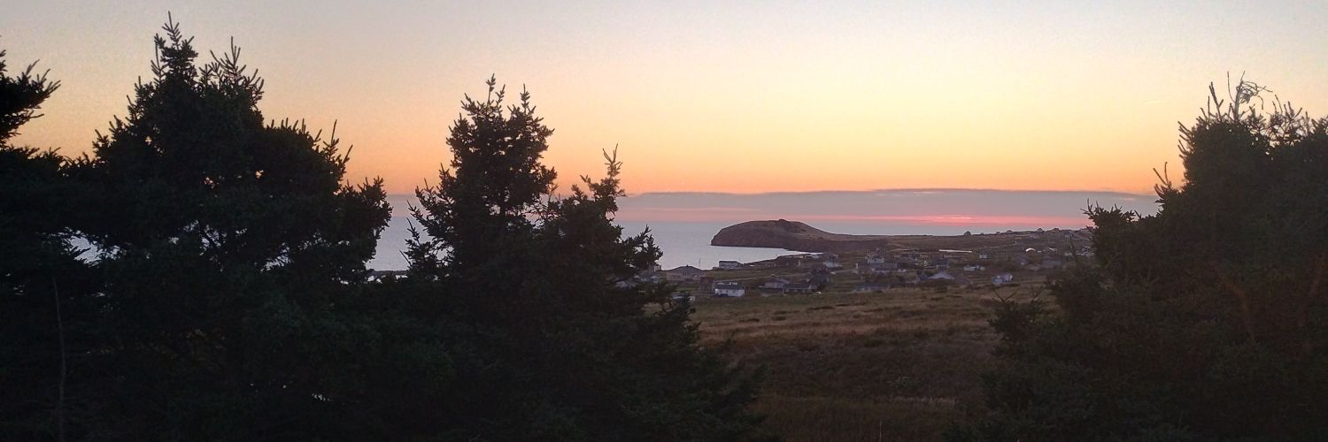 Merlin.du.Cap-de-Platre banner