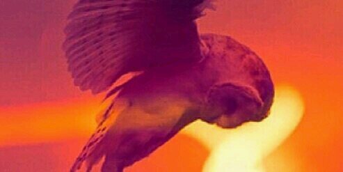 JazminMariaJose's profile banner image