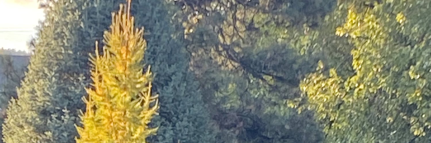 Dswinters's profile banner image