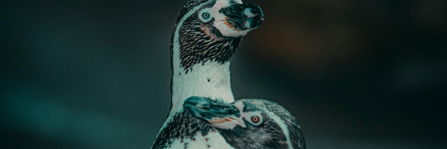 CoreyAndry's profile banner image