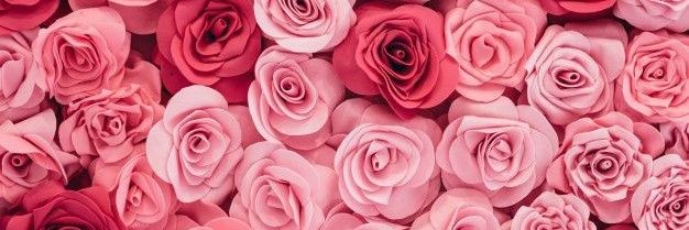 SOFIAMAUTINO's profile banner image
