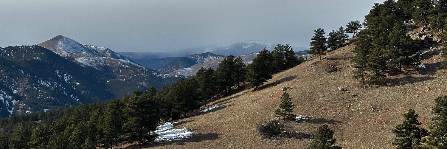 s_who_'s profile banner image