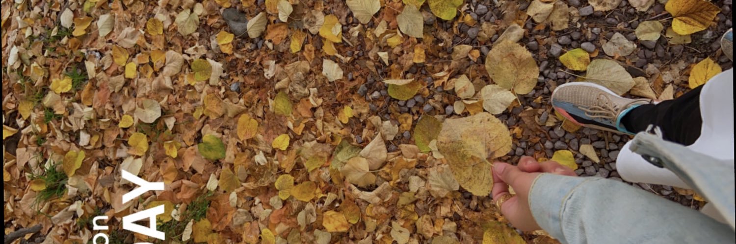 NAlbarri's profile banner image