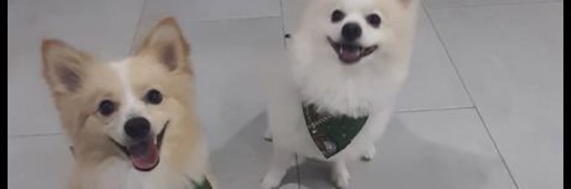 MilenisGonz's profile banner image