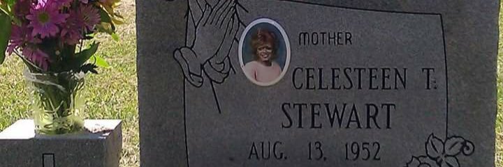 _CeeStew's profile banner image