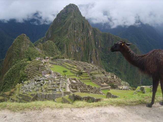 Geor_Bel's profile banner image