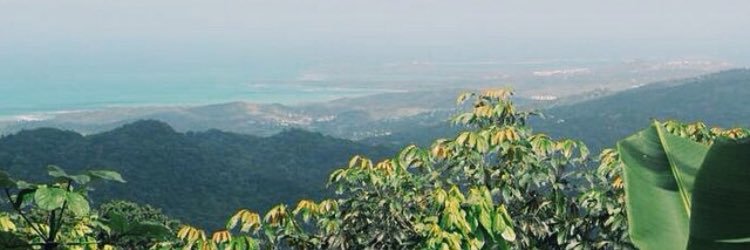 overdoseonkari's profile banner image