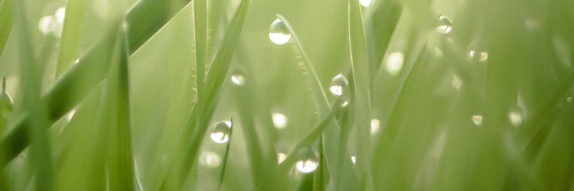 LaninAndrey's profile banner image