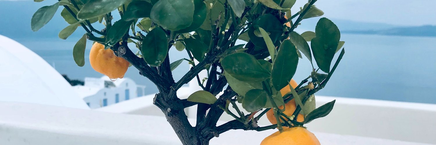 MoniDudek's profile banner image