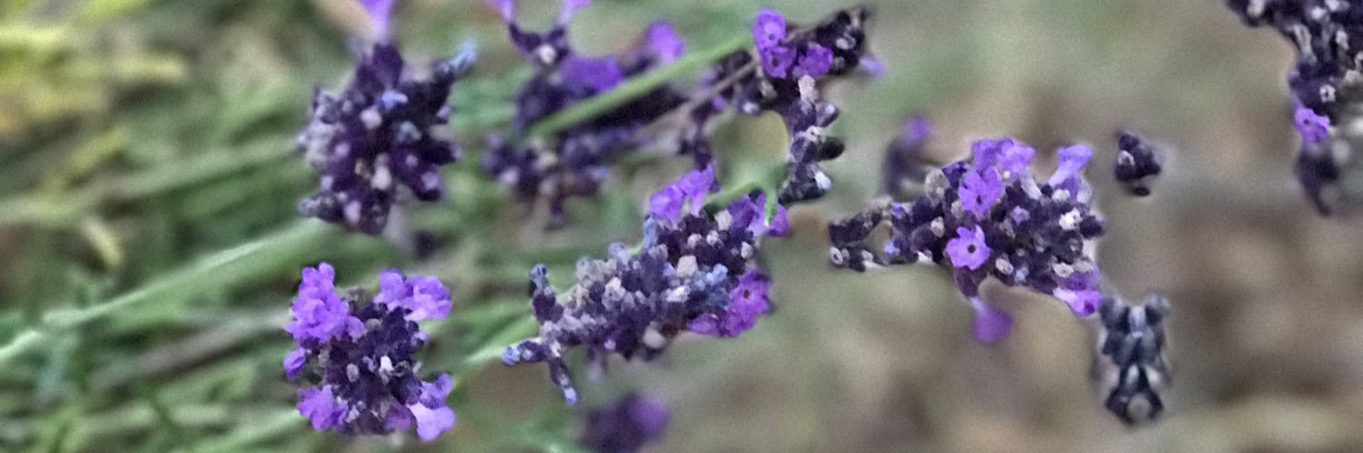 TinaWoodruff's profile banner image