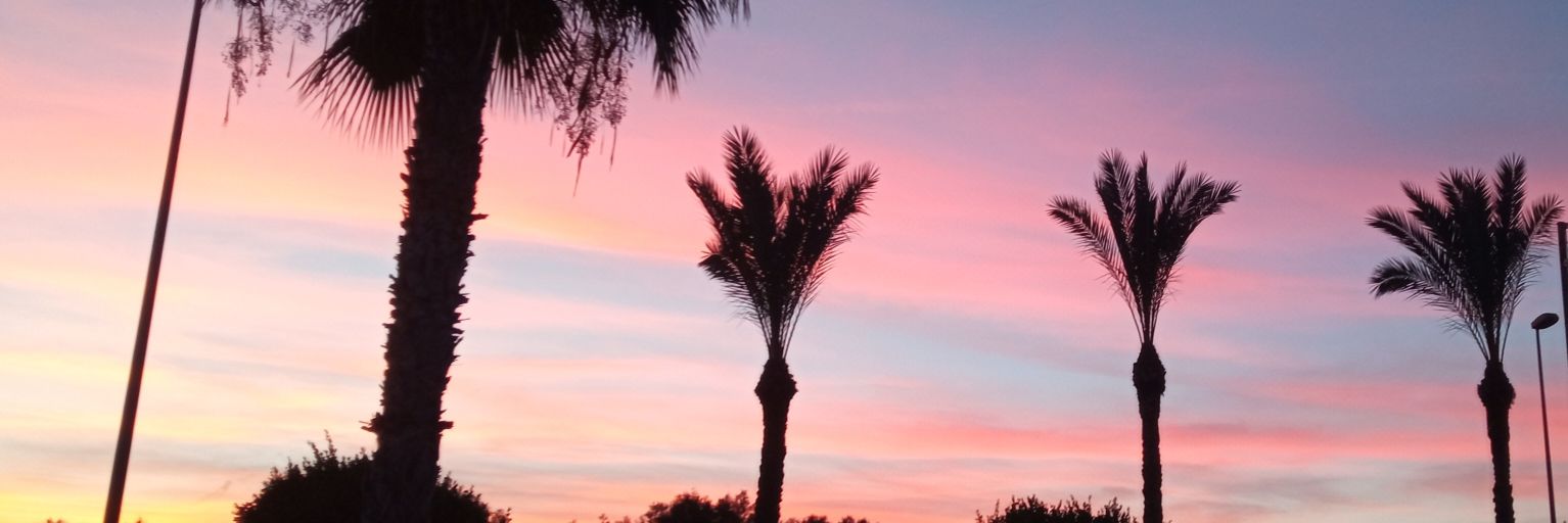 SuzanneTanner08's profile banner image