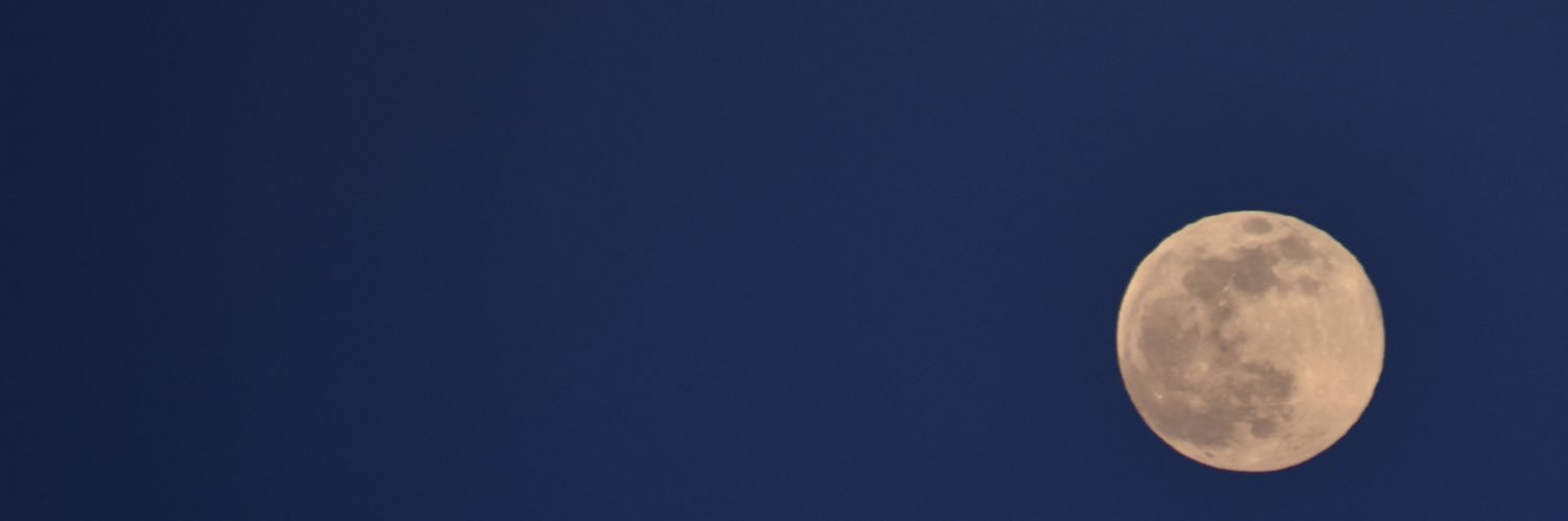 _bailmechelle's profile banner image