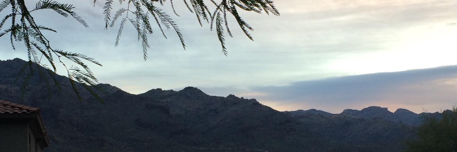 Carly_Vasquez's profile banner image