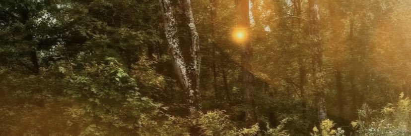 _MadisonRenee_'s profile banner image