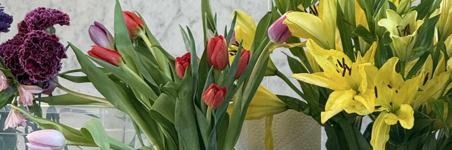 bsmivv's profile banner image
