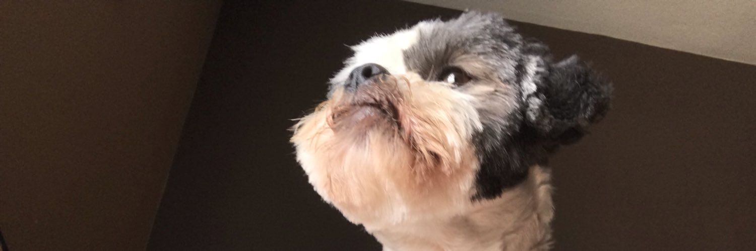 AmandaMercedesB's profile banner image