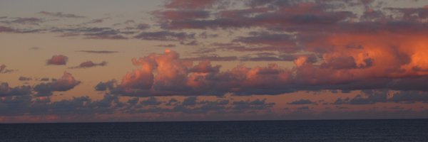 AmyResnick Profile Banner