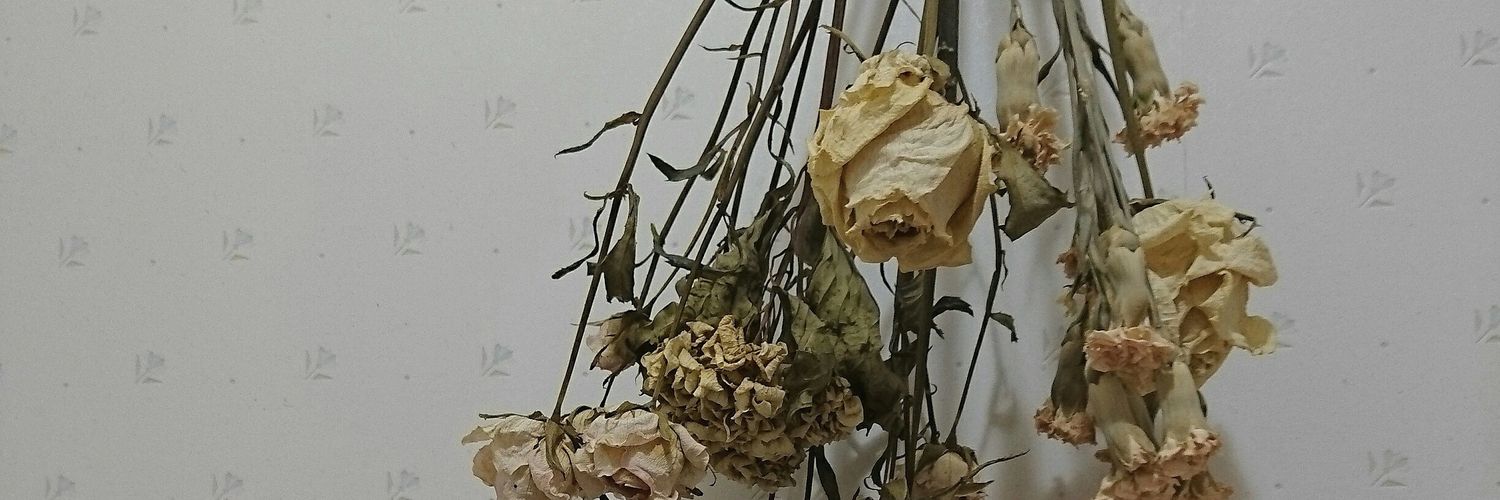 imSMlgg's profile banner image