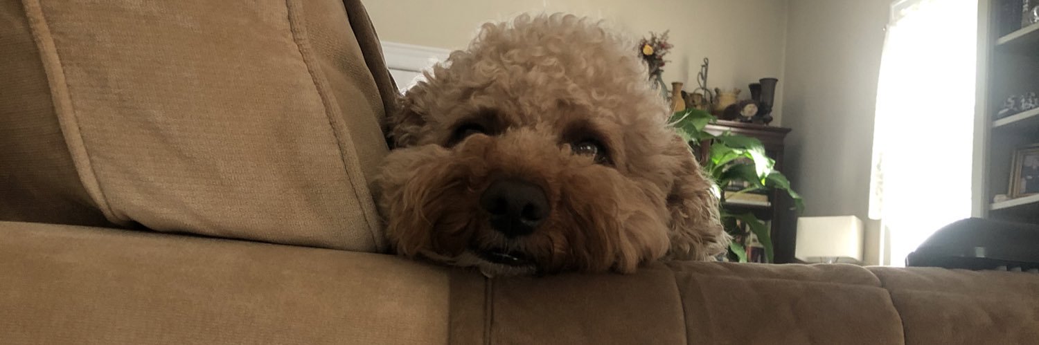 Honest_Juan's profile banner image