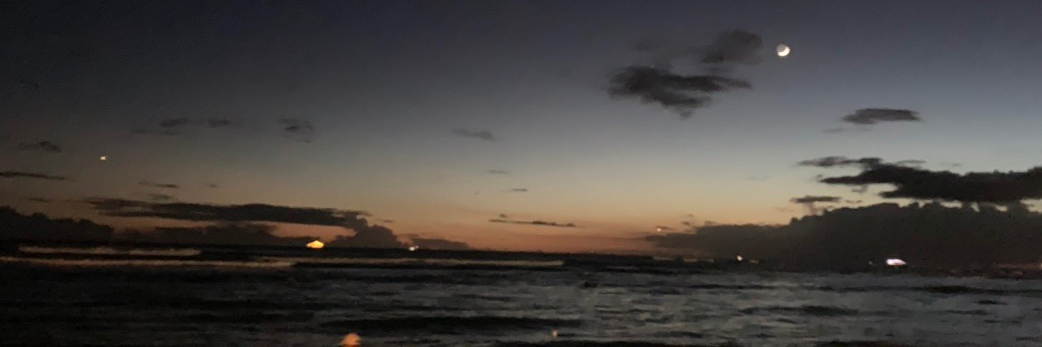 km14_fish's profile banner image