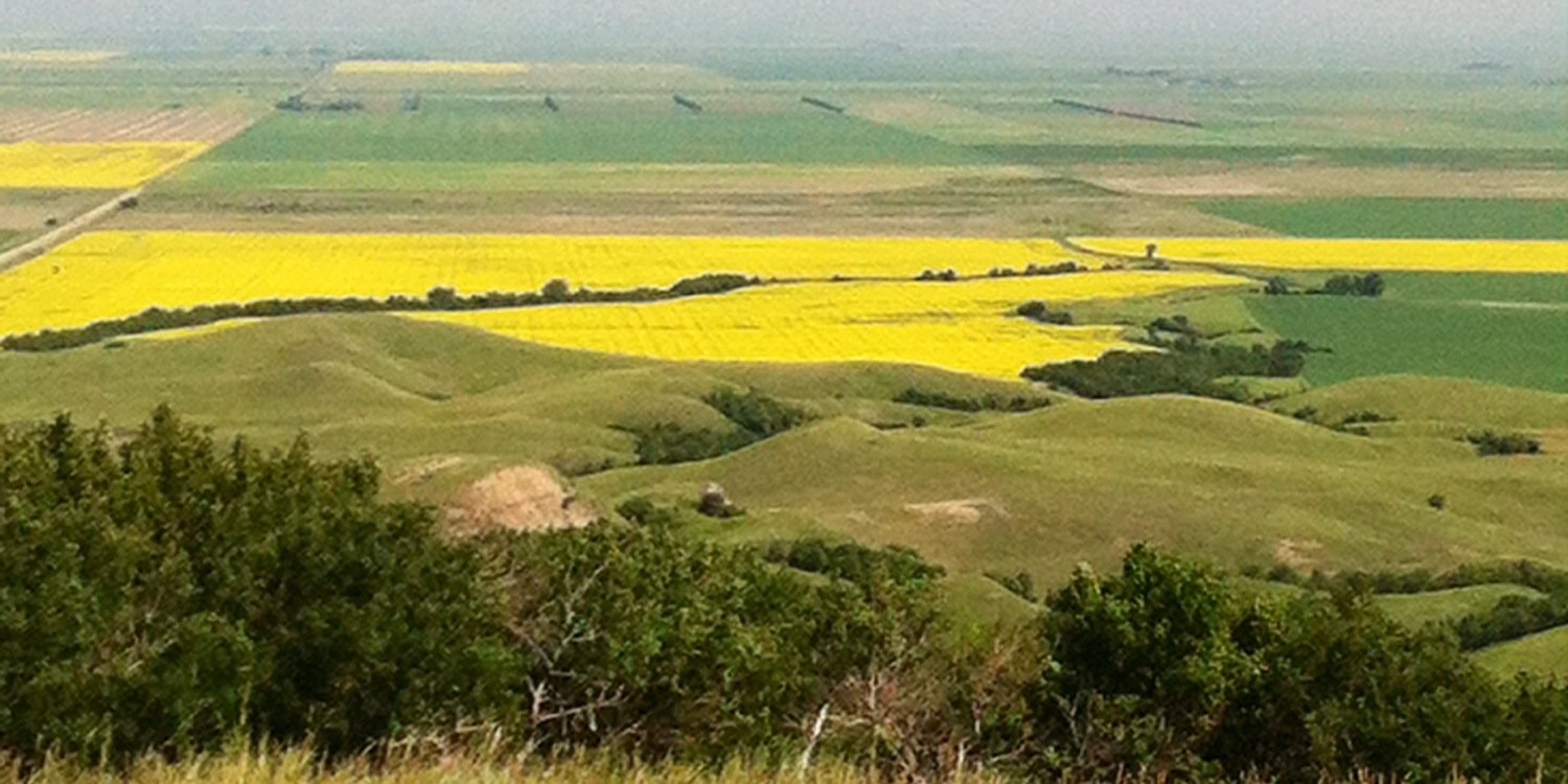PrairieVark's profile banner image