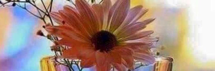 19871999's profile banner image