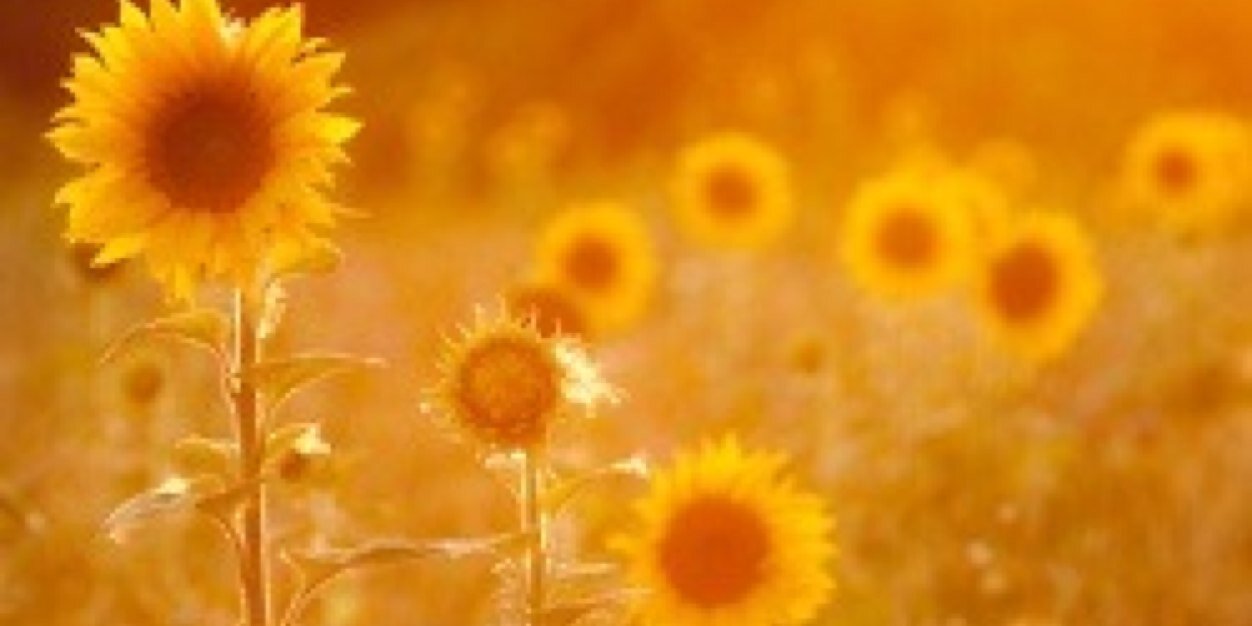 brit_jam5's profile banner image