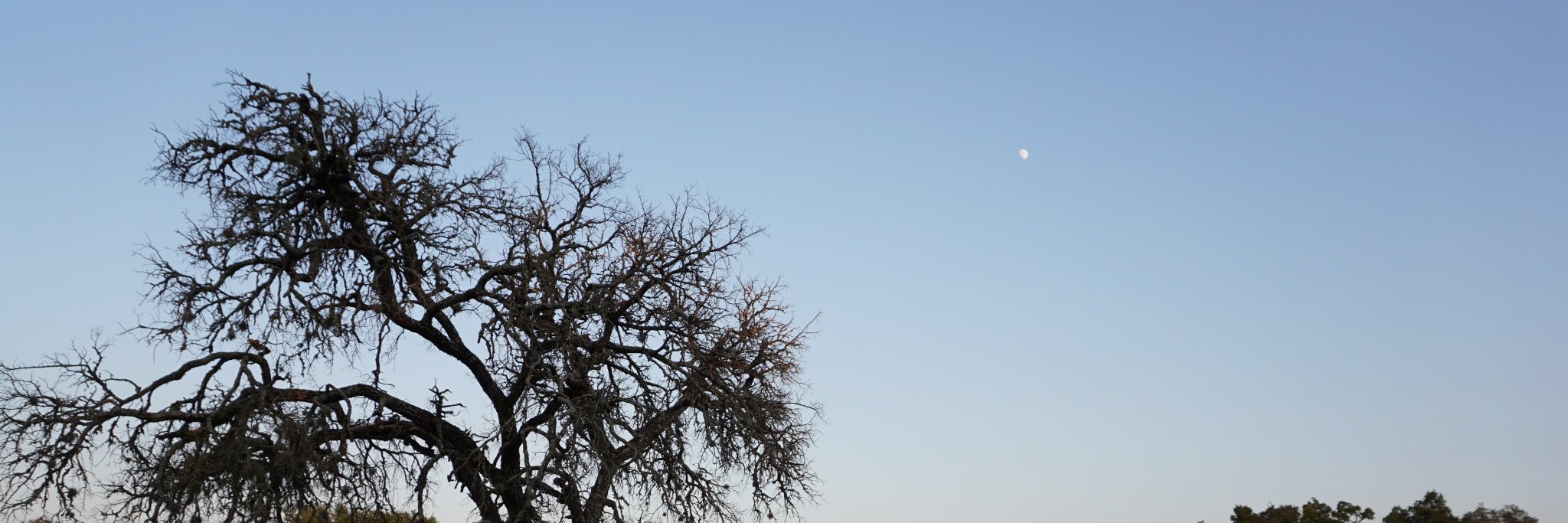 Lindsay Mader banner