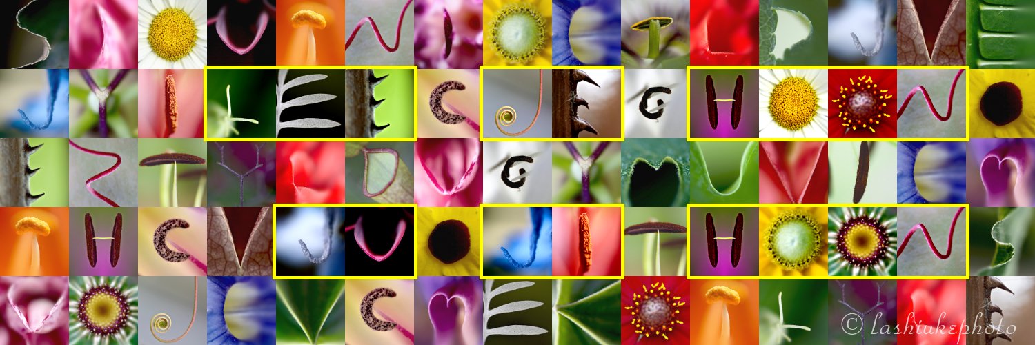 Giedrė Grižaitė 🤙🏻 banner