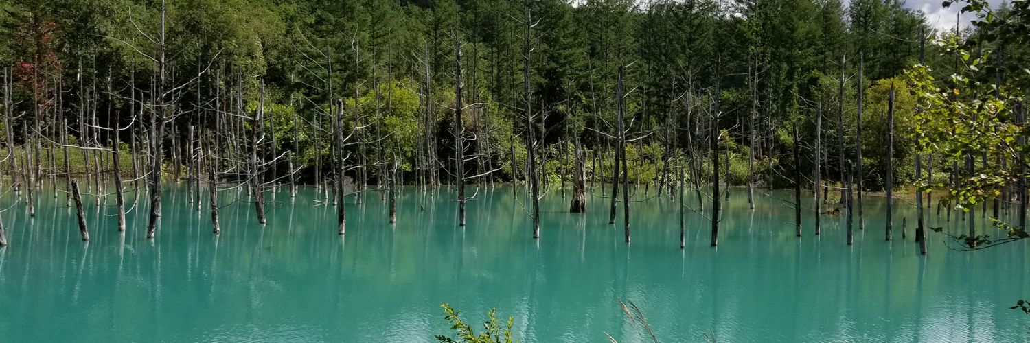 jmnoitulos's profile banner image