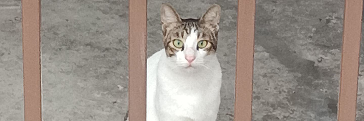 winkeubella's profile banner image