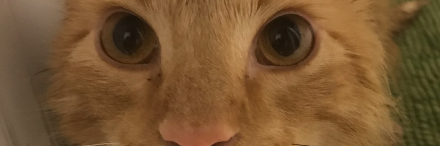 eversoslowly's profile banner image