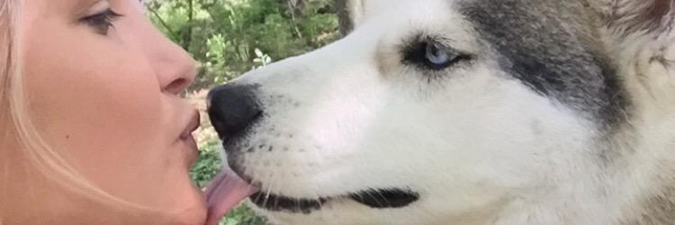zestyestee's profile banner image