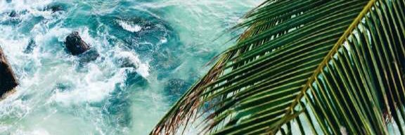 Courtjade_'s profile banner image