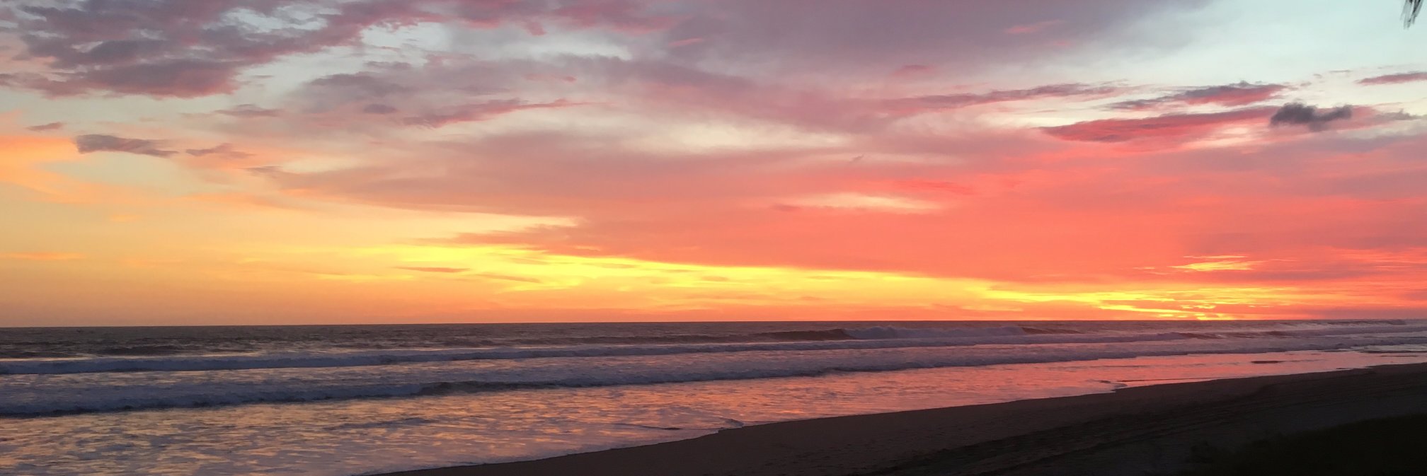 VALERIE  CARDENAS banner