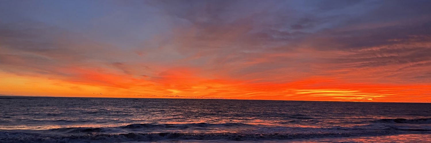 Naomi Seligman banner