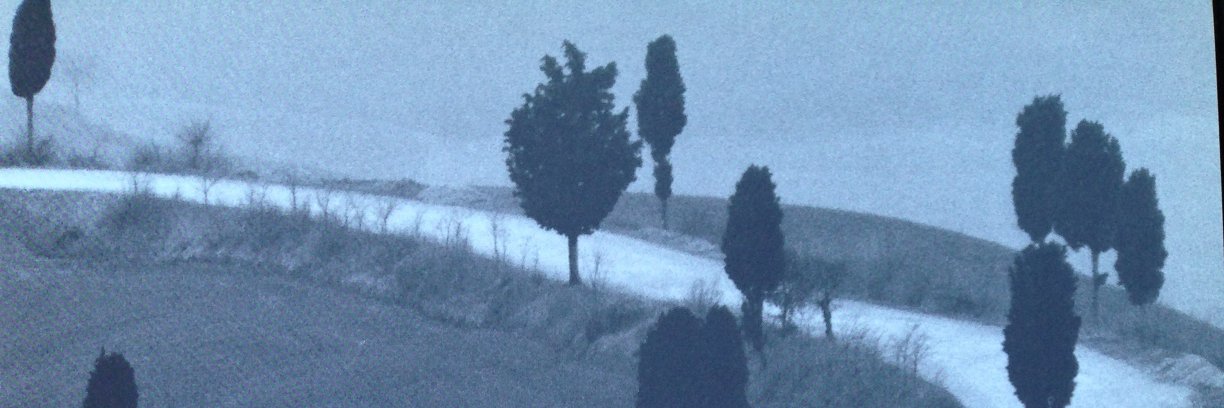 İpek Özel banner