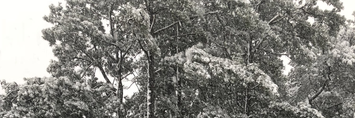 calledcaleb's profile banner image