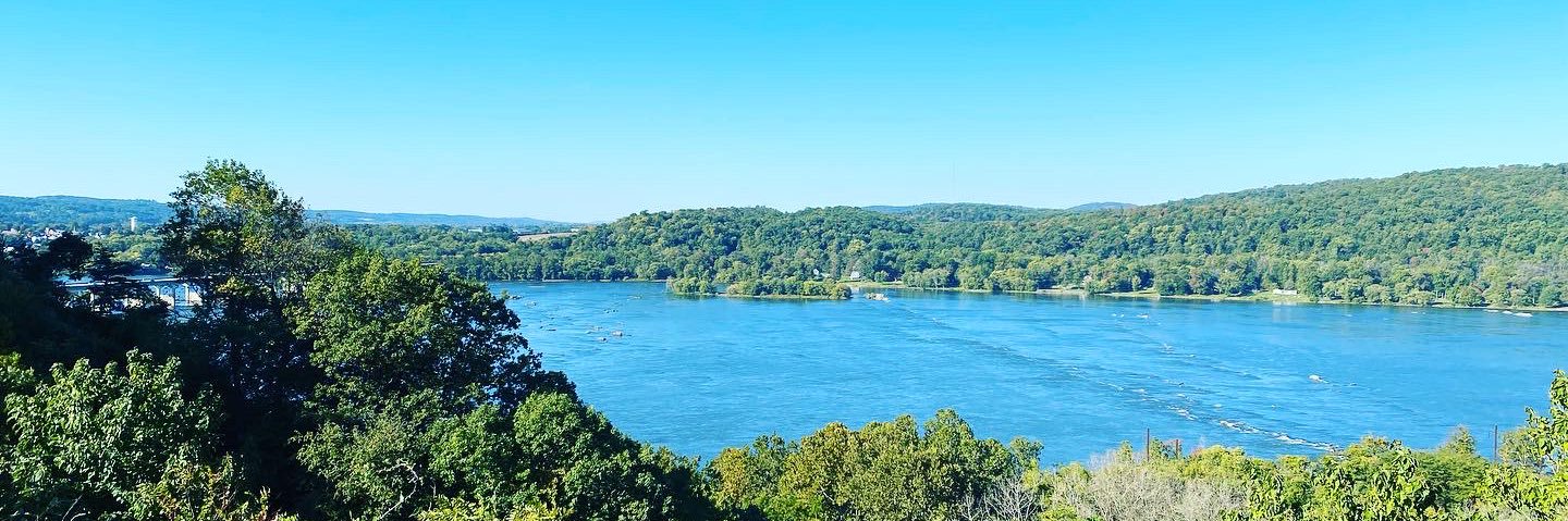 Rachel Goisovich banner