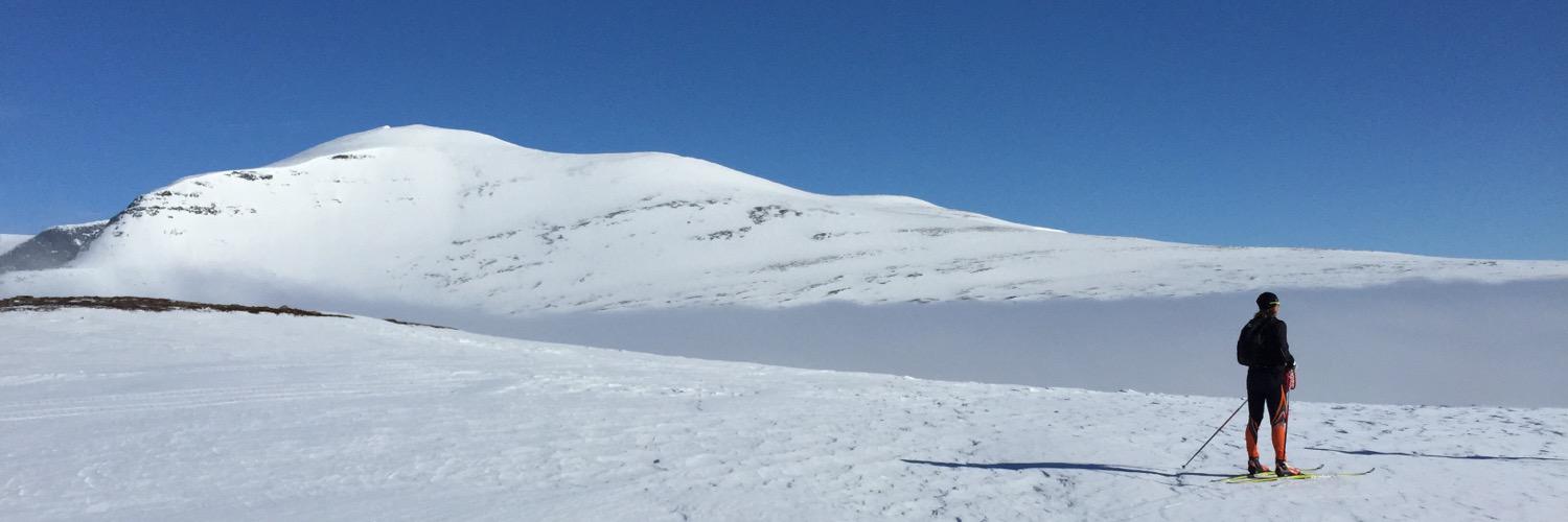 JasseNys's profile banner image