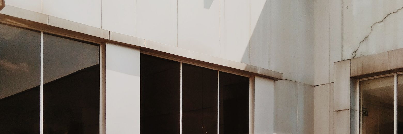 Synystcha's profile banner image